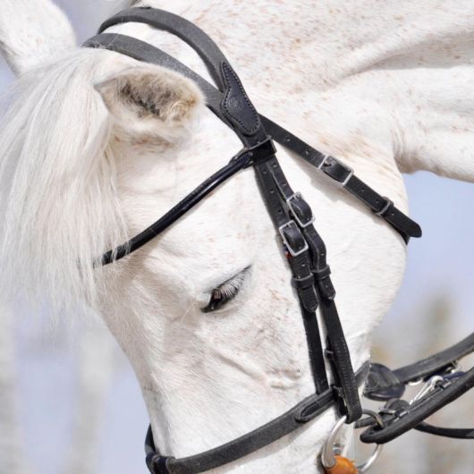 Bridon Evolution Soft T (rênes/muserolle grip) - Ihwt BridonEvolution Soft T muserolle grip - IHWT