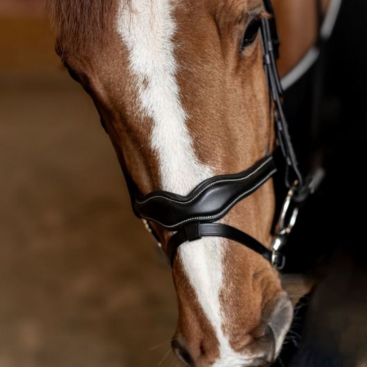 Bridon cheval cuir Wavy - HFI
