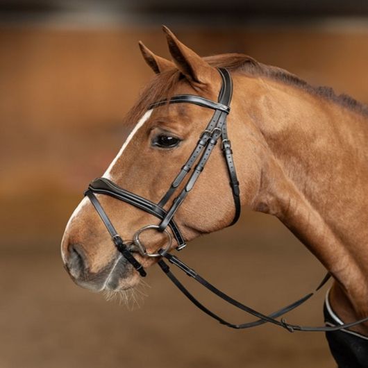 Bridon cheval cuir Wavy - HFI