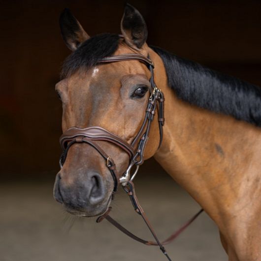 Bridon cheval cuir Wavy - HFI