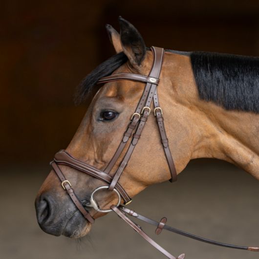 Bridon cheval cuir Wavy - HFI