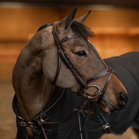 Bridon cheval cuir vernis Painted - HFI 