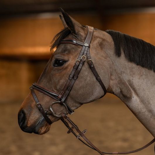 Bridon cheval cuir vernis Painted - HFI 