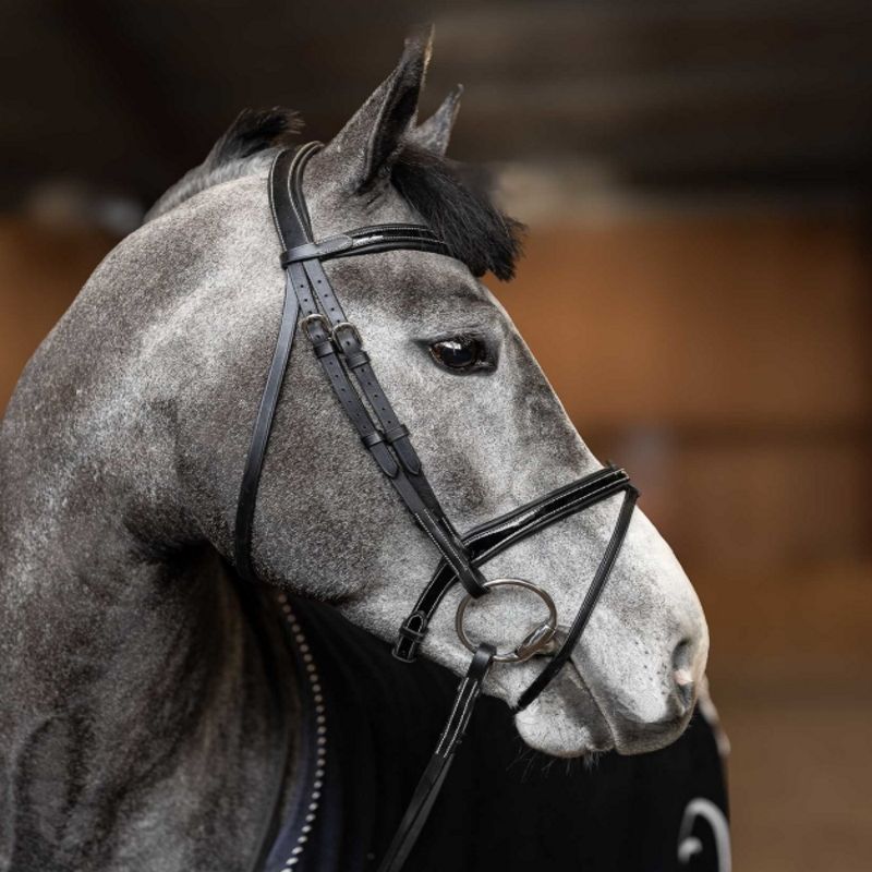 Bridon cheval cuir vernis Painted - HFI 