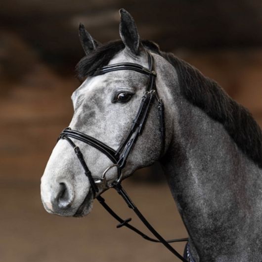 Bridon cheval cuir vernis Painted - HFI 