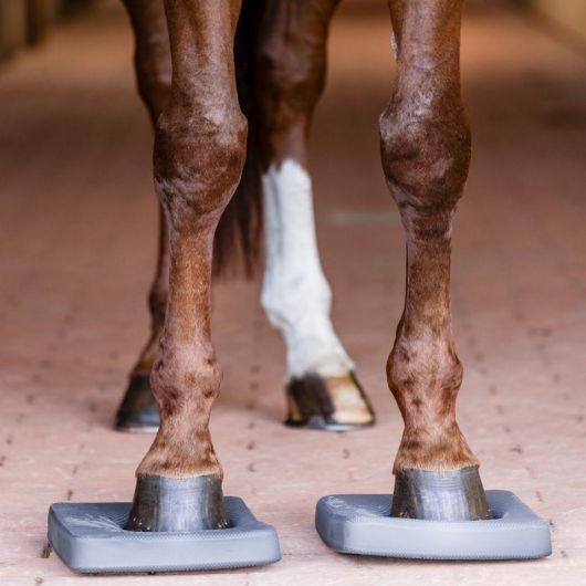 Semelles proprioception cheval Balance Health + (x2) - Waldhausen