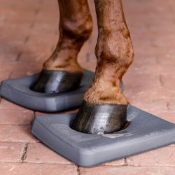 Semelles proprioception cheval Balance Health + (x2) - Waldhausen