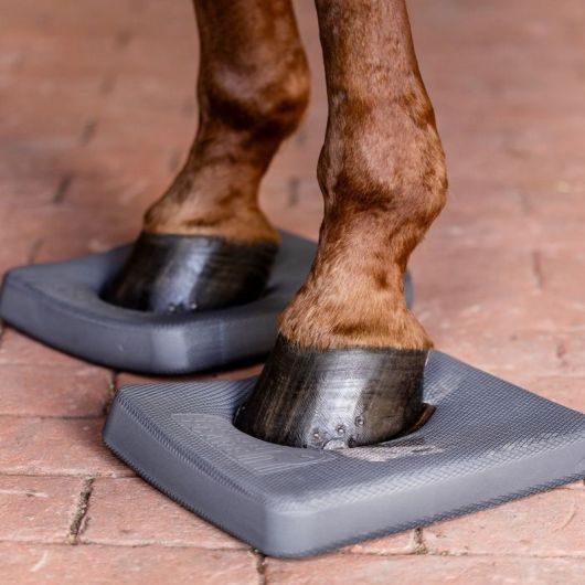 Semelles proprioception cheval Balance Health + (x2) - Waldhausen Semelles proprioception cheval Balance Health + (x2) - Waldhausen