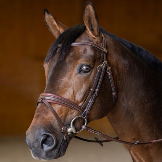 Bridon cheval cuir Double Soft - HFI Master