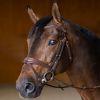 Bridon cheval cuir Double Soft - HFI Master