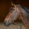 Bridon cheval cuir Double Soft - HFI Master