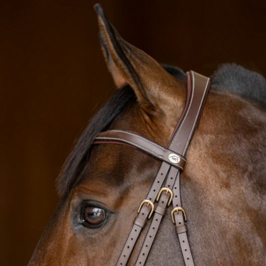 Bridon cheval cuir Double Soft - HFI Master
