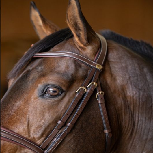 Bridon cheval cuir Double Soft - HFI Master
