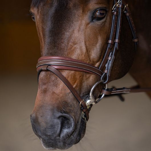 Bridon cheval cuir Double Soft - HFI Master