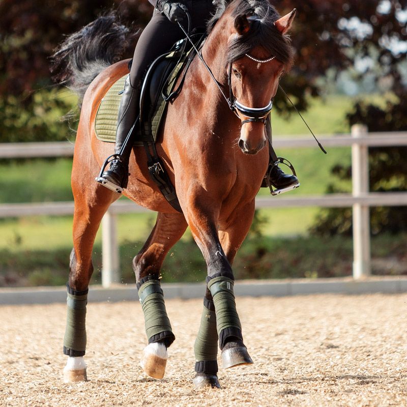 Sous bandes cheval Climatex - Kavalkade