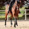 Sous bandes cheval Climatex - Kavalkade