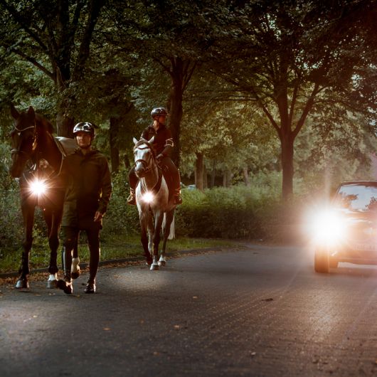 Collier de chasse cheval balade et randonnée avec lampe Horselight - Kavalkade