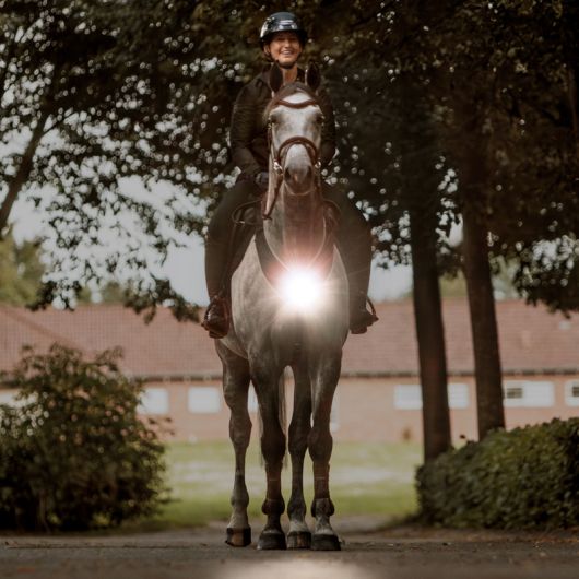 Collier de chasse cheval balade et randonnée avec lampe Horselight - Kavalkade
