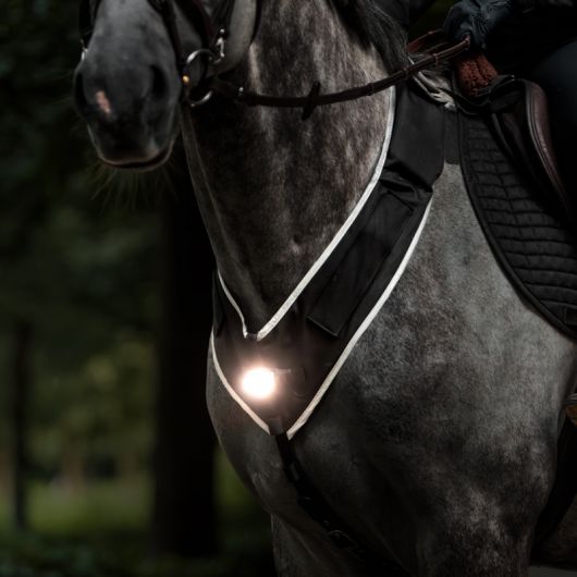 Collier de chasse cheval balade et randonnée avec lampe Horselight - Kavalkade