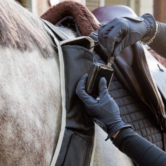 Collier de chasse cheval balade et randonnée avec lampe Horselight - Kavalkade