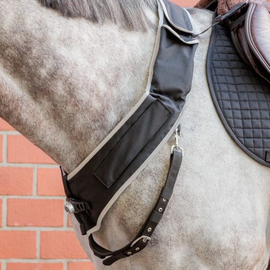 Collier de chasse cheval balade et randonnée avec lampe Horselight - Kavalkade