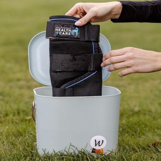 Guêtres rafraichissantes cheval Health + Care Ice Layer - Waldhausen