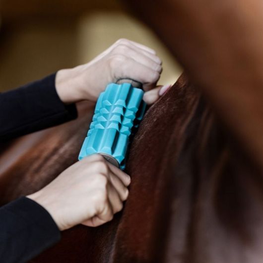 Rouleau de massage cheval 2 mains Relax Health + Faszien Fit - Waldhausen