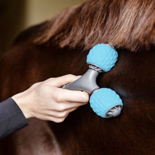 Rouleau massant cheval Health + Comfort Creator - Waldhausen