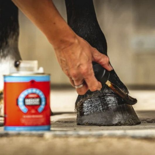 Huile sabot cheval cornucrescine Hoof Dressing - Carr & Day & Martin