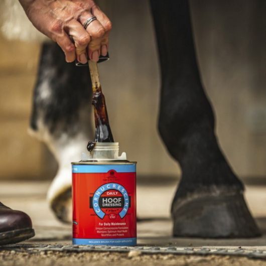 Huile sabot cheval cornucrescine Hoof Dressing - Carr & Day & Martin