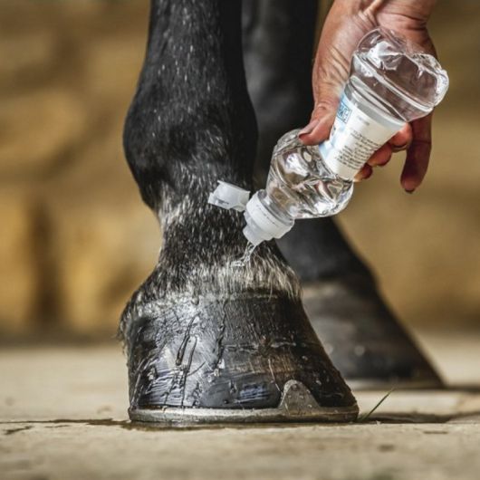 Huile pour sabots Carr and Day and Martin Daily Hoof Barrier Cornucrescine - Huile sabot cheval