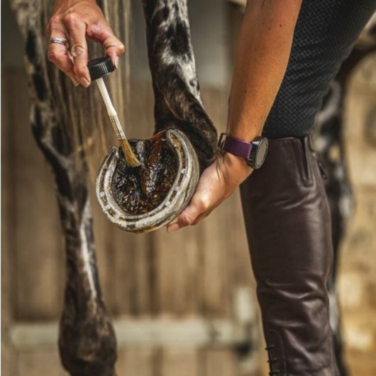 Huile sabot cheval cornucrescine arbre à thé Hoof Dressing Tea Tree - Carr & Day & Martin