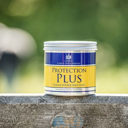 Crème apaisante et protectrice dermite cheval Protection Plus - Carr & Day & Maritn