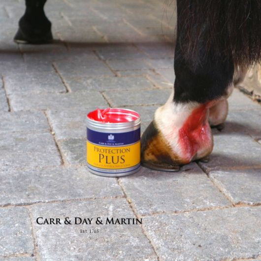 Crème apaisante et protectrice plaies et gale de boue cheval Protection Plus - Carr & Day & Maritn