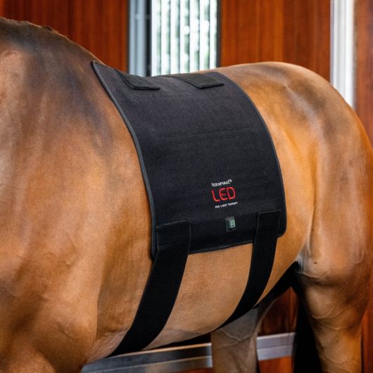 Tapis thérapeutique dos cheval LED Luminothérapie - Horseware 