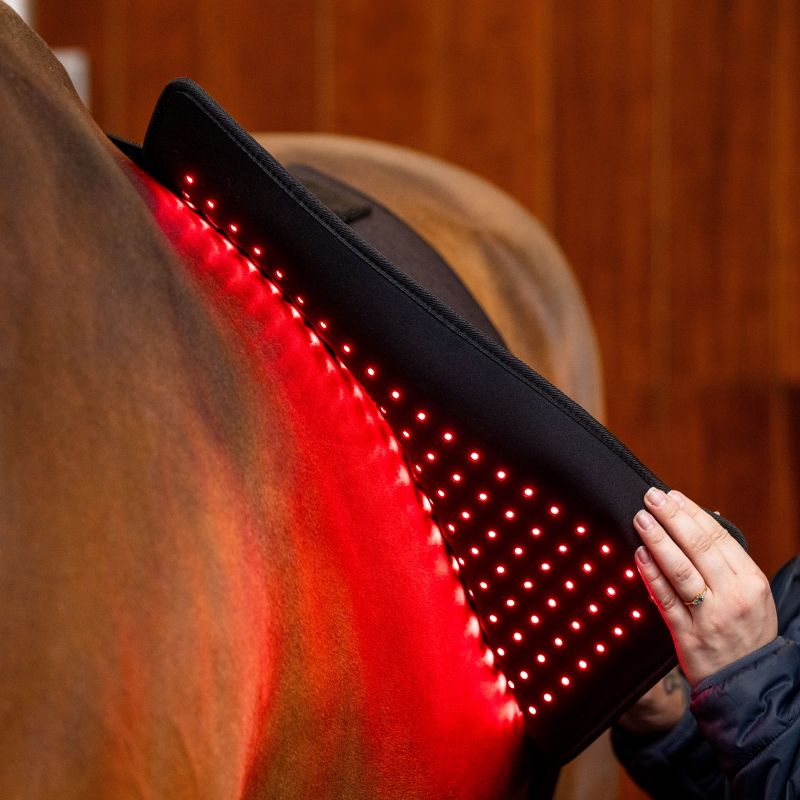 Tapis thérapeutique dos cheval LED Luminothérapie - Horseware 