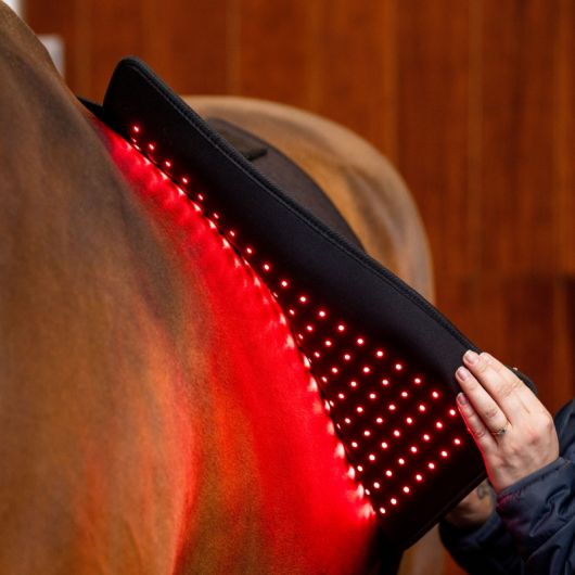 Tapis thérapeutique dos cheval LED Luminothérapie - Horseware Tapis thérapeutique dos cheval LED Luminothérapie - Horseware