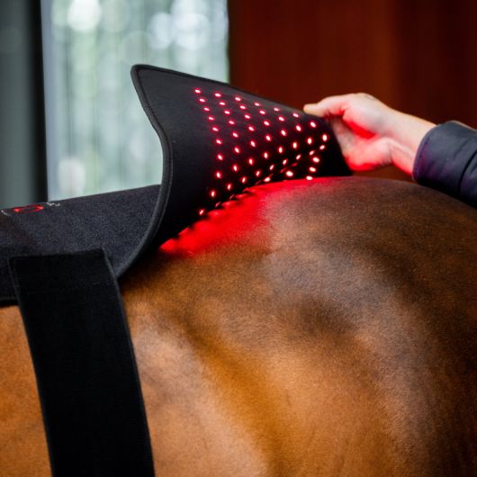 Tapis thérapeutique dos cheval LED Luminothérapie - Horseware 