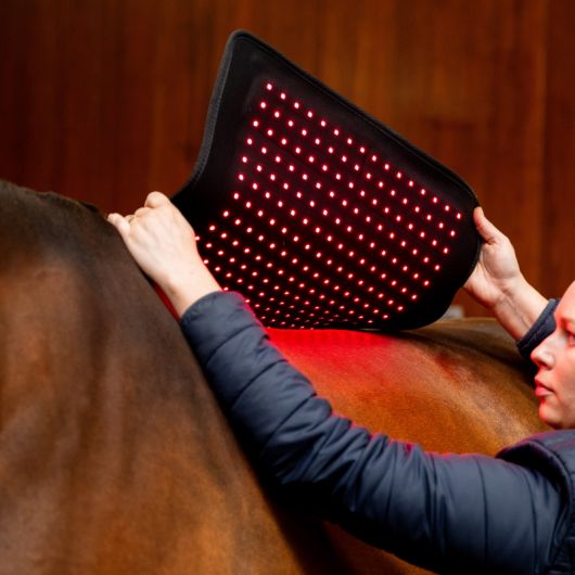 Tapis thérapeutique dos cheval LED Luminothérapie - Horseware 