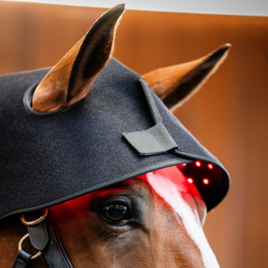 Protège nuque thérapeutique cheval LED Luminotherapie Poll Cap - Horseware  