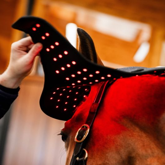 Protège nuque thérapeutique cheval LED Luminotherapie Poll Cap - Horseware  