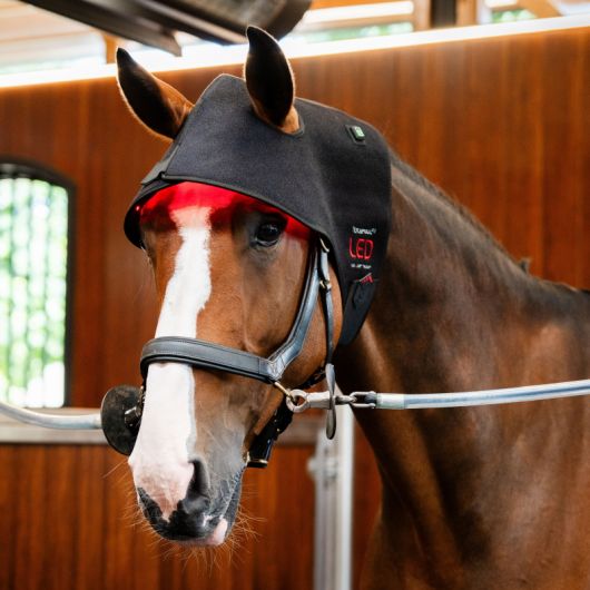 Protège nuque thérapeutique cheval LED Luminotherapie Poll Cap - Horseware  