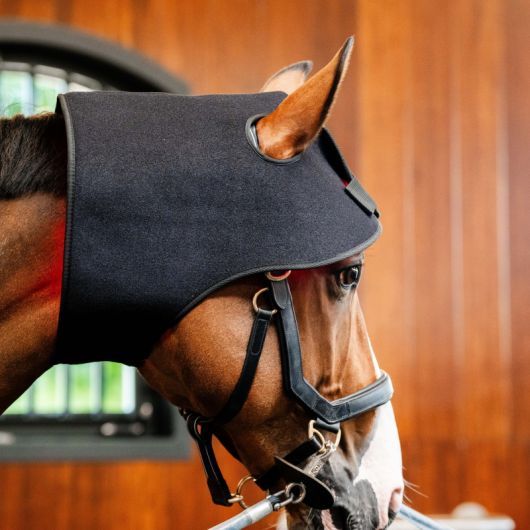 Protège nuque thérapeutique cheval LED Luminotherapie Poll Cap - Horseware  