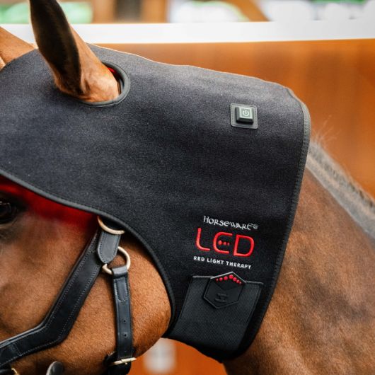 Protège nuque thérapeutique cheval LED Luminotherapie Poll Cap - Horseware  