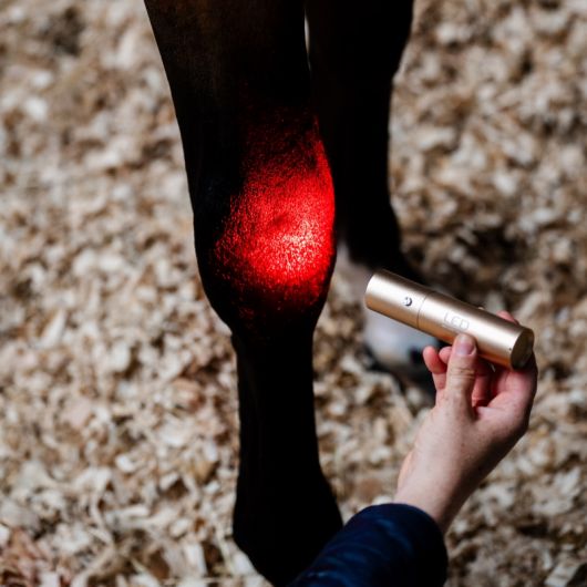 Stylo thérapeutique cheval LED Luminothérapie - Horseware