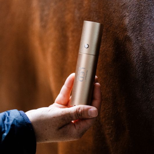 Stylo thérapeutique cheval LED Luminothérapie - Horseware