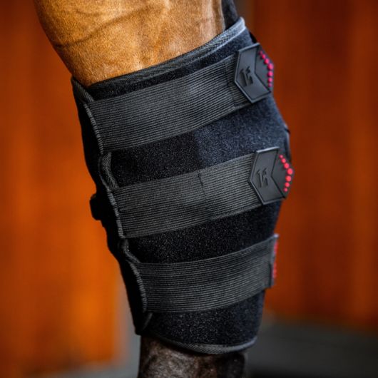 Protège jarret thérapeutique cheval LED luminotherapie - Horseware 