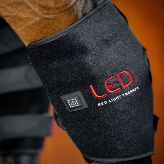 Protège jarret thérapeutique cheval LED luminotherapie - Horseware 