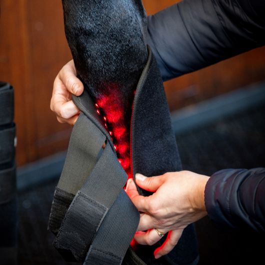 Guetre thérapeutique cheval LED Luminotherapie - Horseware 