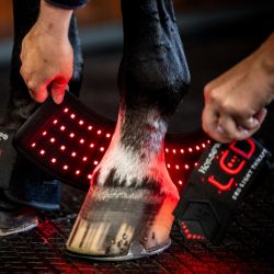 Cloche cheval thérapeutique LED Luminothérapie Mini Wrap - Horseware
